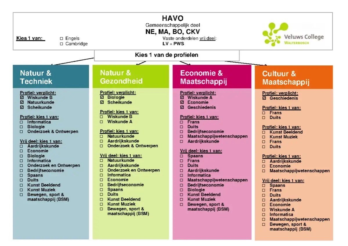 Schema van HAVO-profielen: Natuur & Techniek, Natuur & Gezondheid, Economie & Maatschappij, Cultuur & Maatschappij. Hier zie je wat de beta vakken zijn.