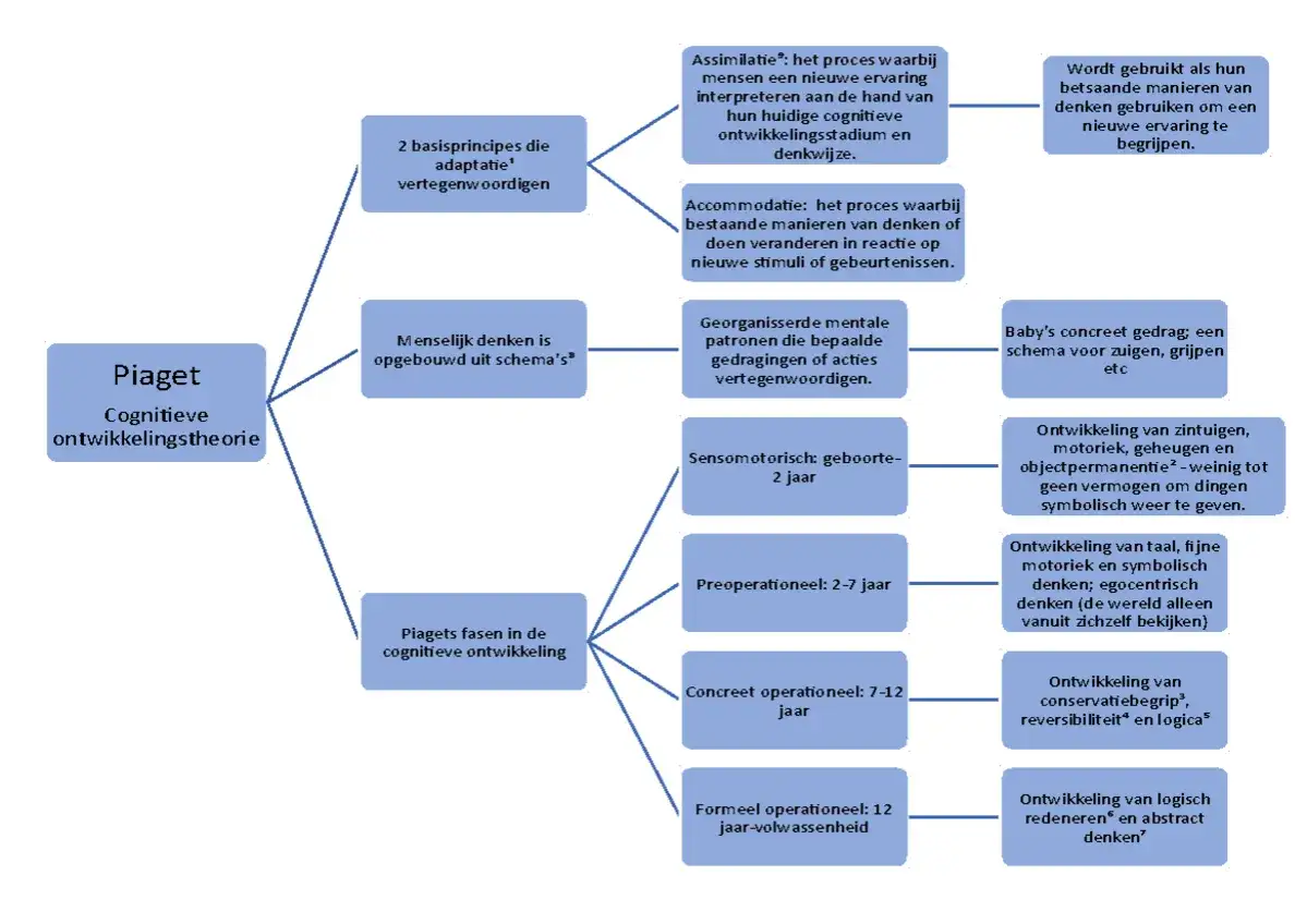 Schema's en adaptatie in Piaget's cognitieve ontwikkelingsfasen: assimilatie, accommodatie en de sensomotorische, preoperationele, concreet operationele en formeel operationele fase.