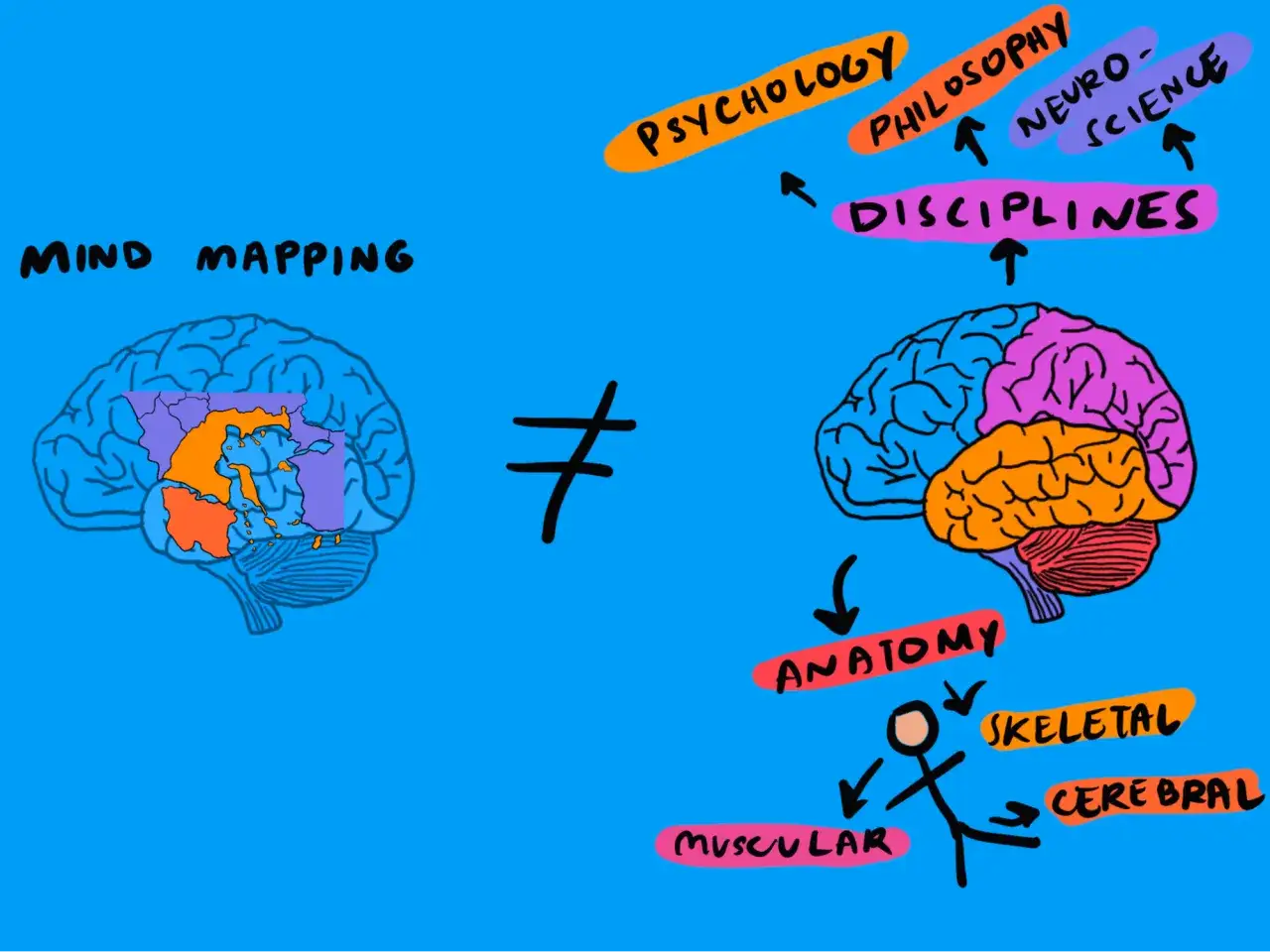 Illustratie toont twee hersenen: één met 'Mind Mapping' en een gestructureerde, die verhoogd associatief denken bevordert, en één met disciplines zoals psychologie en neurowetenschappen.