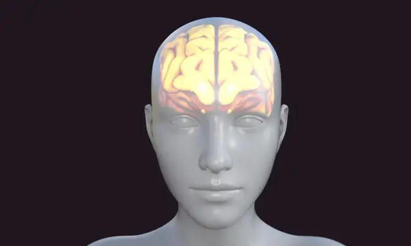 Glowende hersenen in een doorzichtige hoofd, symbolisch voor cognitieve belasting.