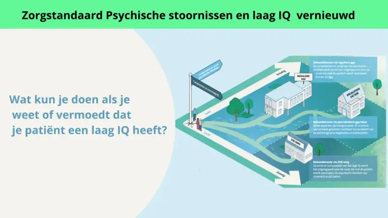 Illustratie van zorgpaden voor patiënten met psychische klachten en een laag IQ. Een kruispunt toont de keuze tussen reguliere GGZ, specialistisch GGZ team of ZVB-zorg.